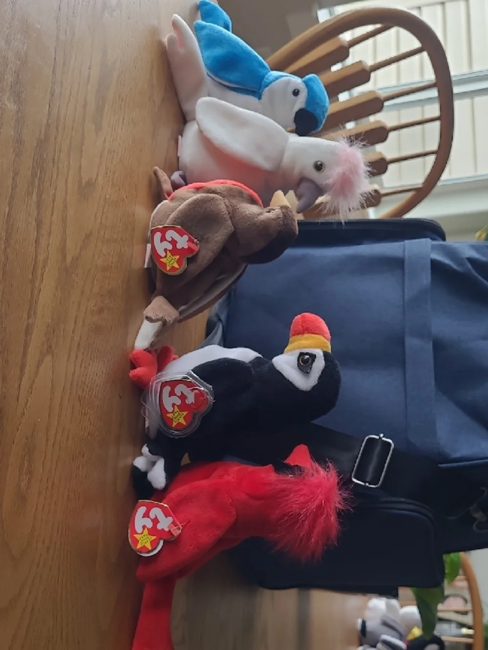Lot Of 6 Ty Beanie Baby Birds